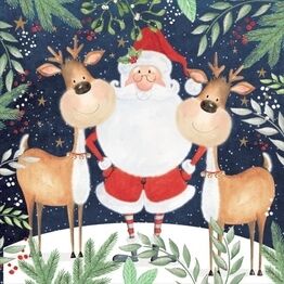 Christmas Napkins Santa & Funny Reindeers pack of 20